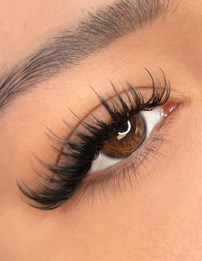 2-3 Week Angel Set Fill