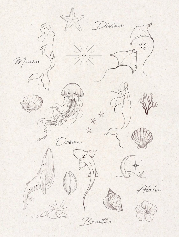 New Ocean Flash 7/29