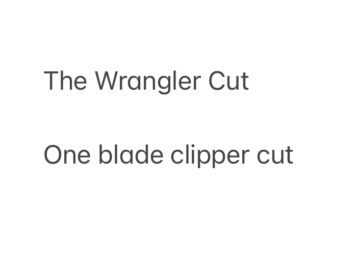 The Wrangler Cut