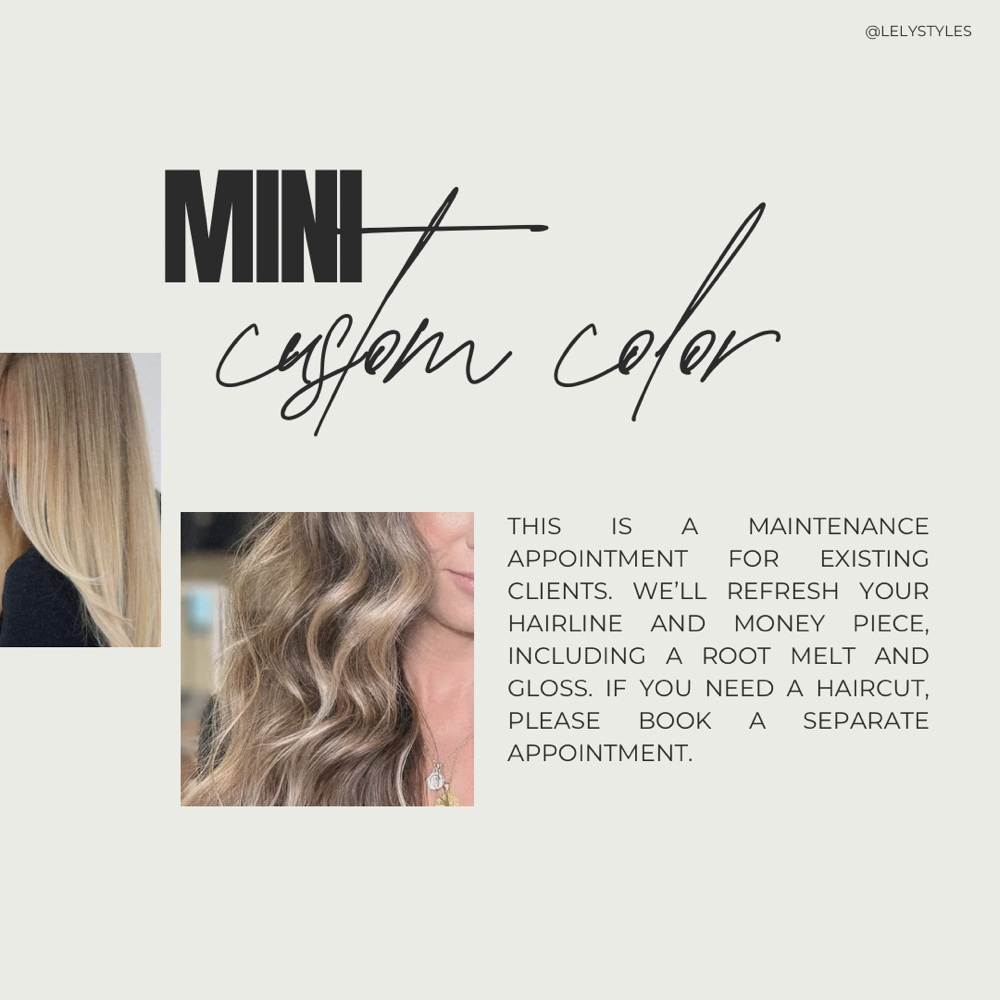 MINI CUSTOM COLOR