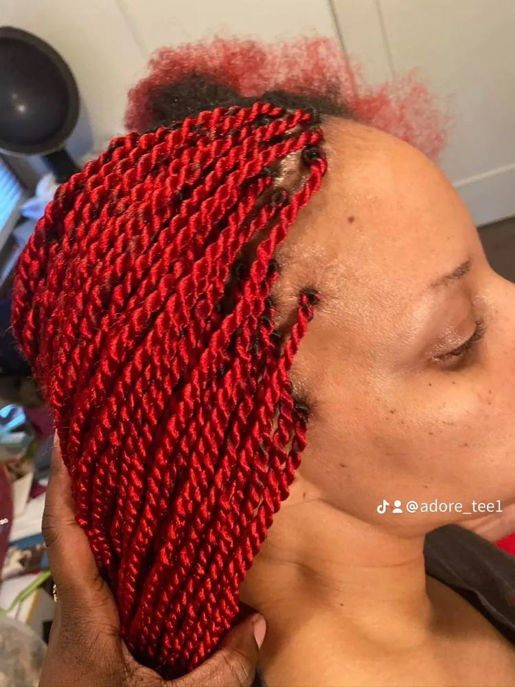 Small Senegalese Twist
