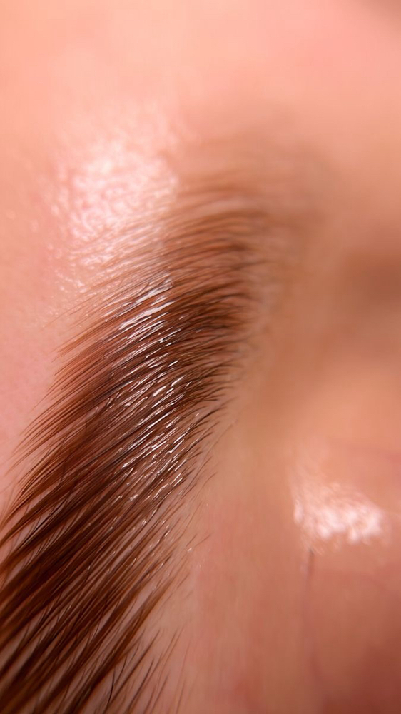 BROW BUNDLE