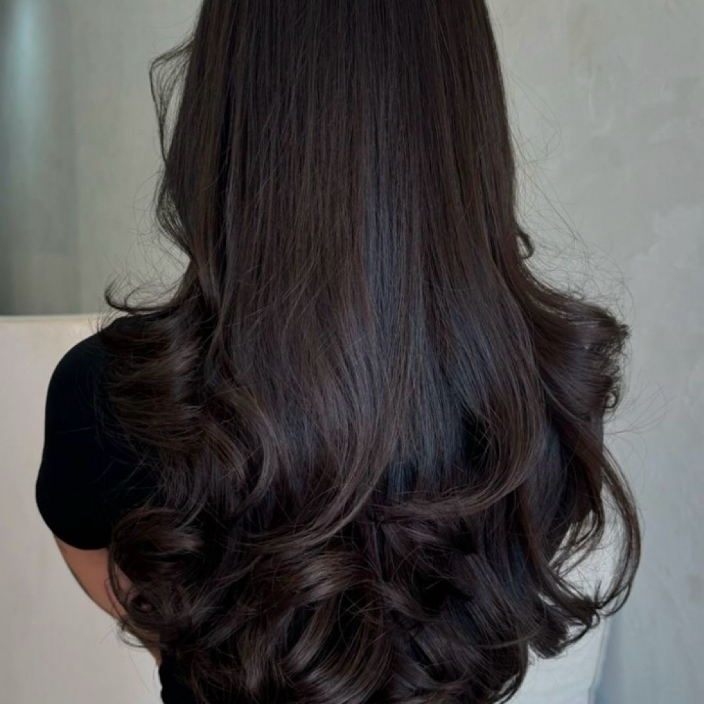 Hair Color and Style/Color y Secado at Dania's Dominican Beauty Salon in Hicksville, NY