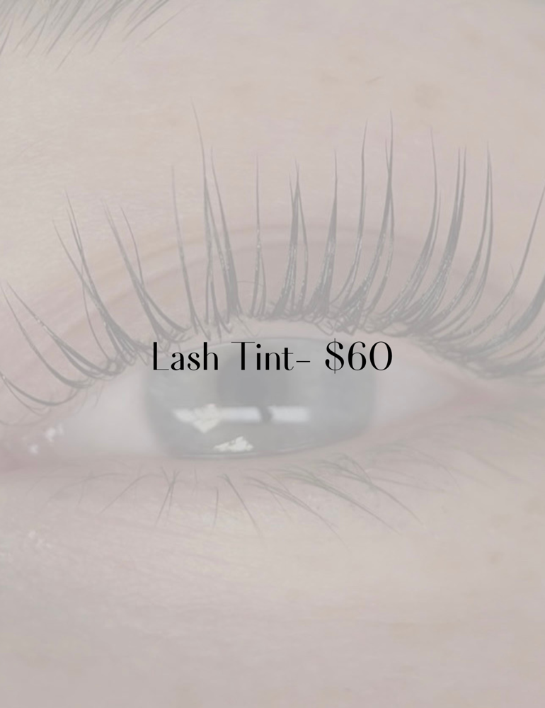 Lash Tint Only at Pure Esthetics in Camp Hill, PA
