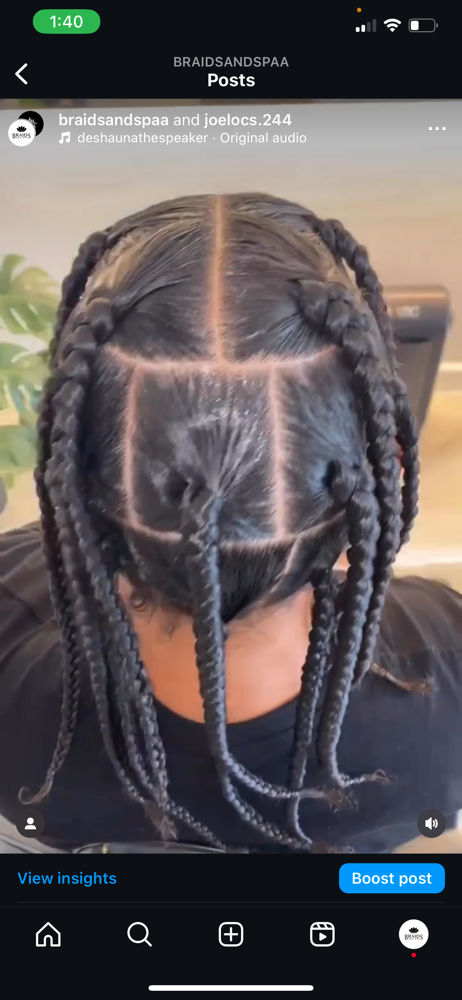 Large Box Braids (no hair ext)