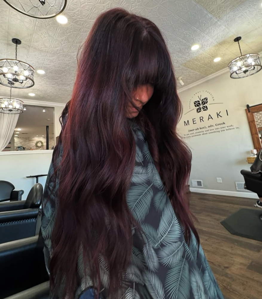 All Over Color at bridgette nichole artistry in Dixon, IL
