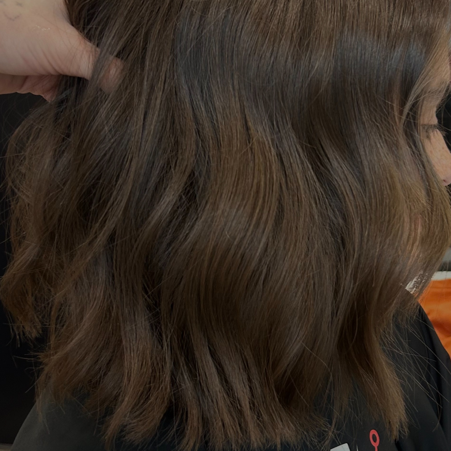 All over Color at Hair X Maddie Rose in Houston, TX