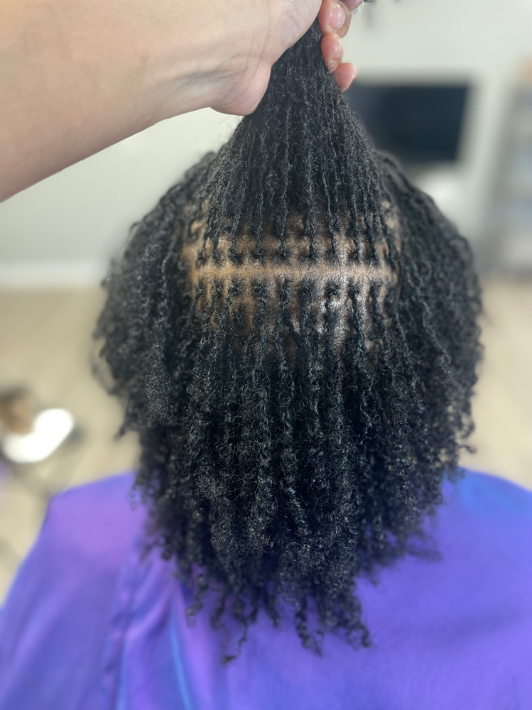 Microloc Retie at Appointed Beauty in Romulus, MI