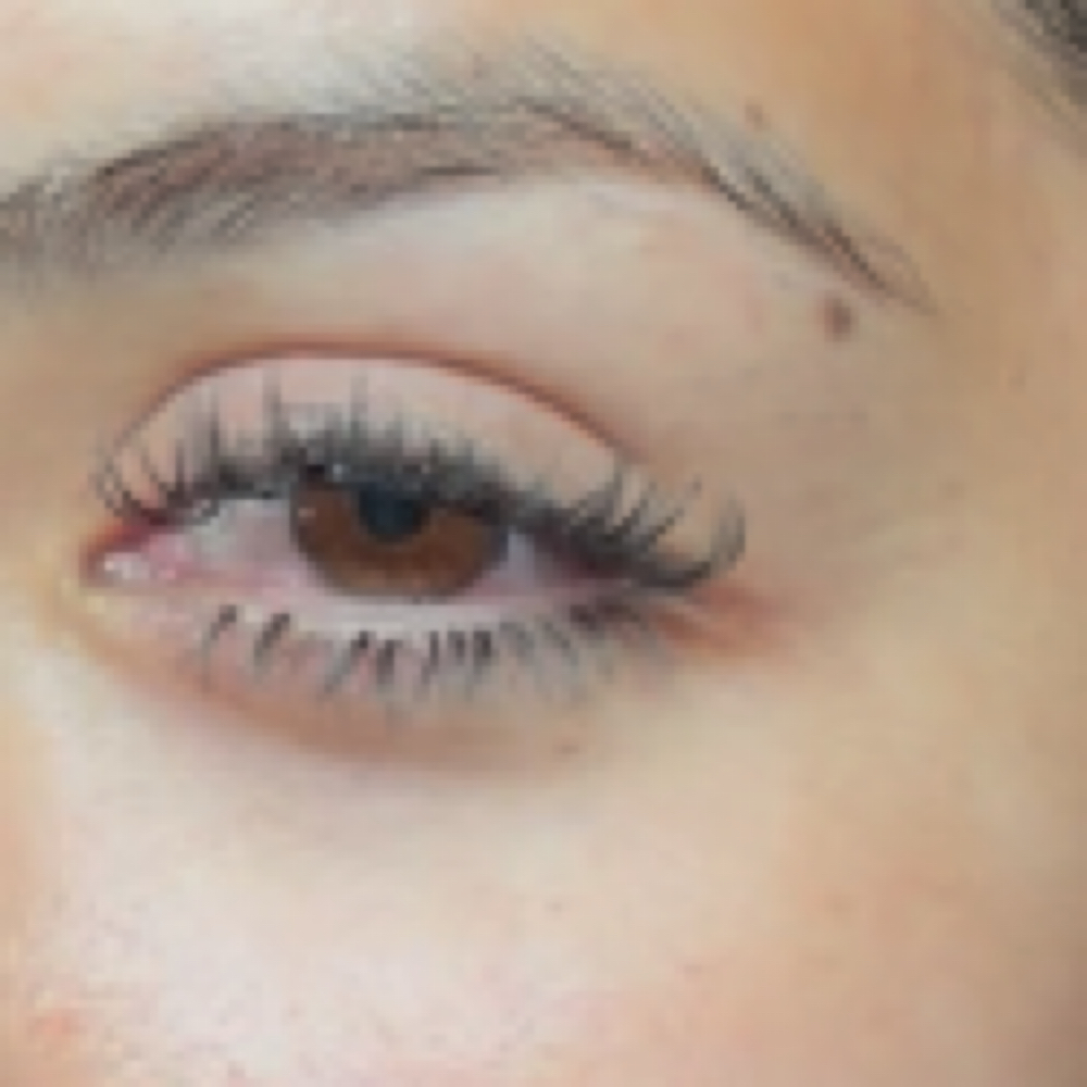 Wet Set Fill at LAVISH LAFLAIR LASHES in mesquite, TX