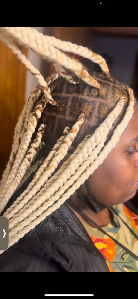 Braids w/ Extensions at Styledbytri in Girard, OH