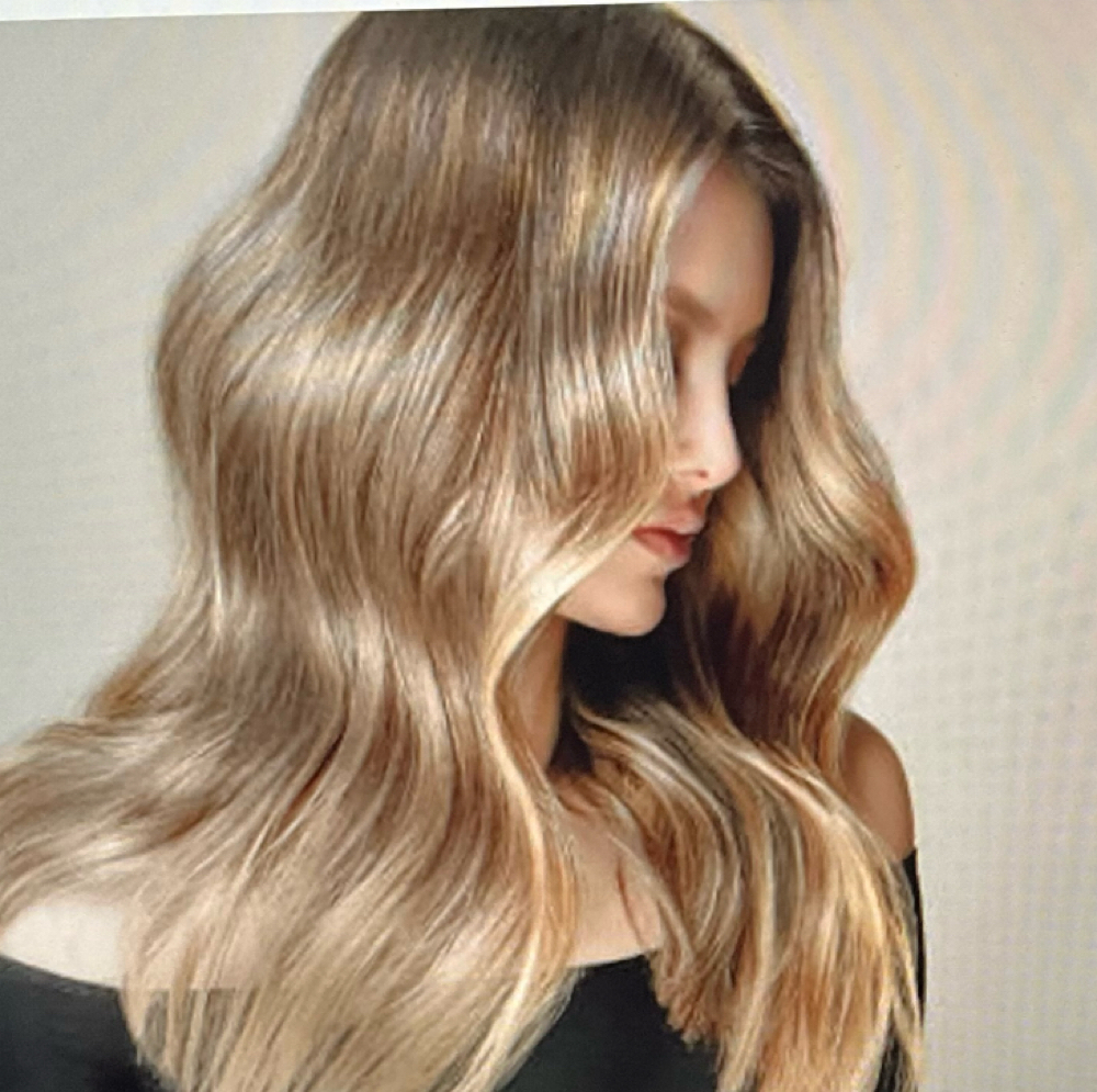 Haircut & Highlights at Sage & Sunflower Salon in Rockville, MD