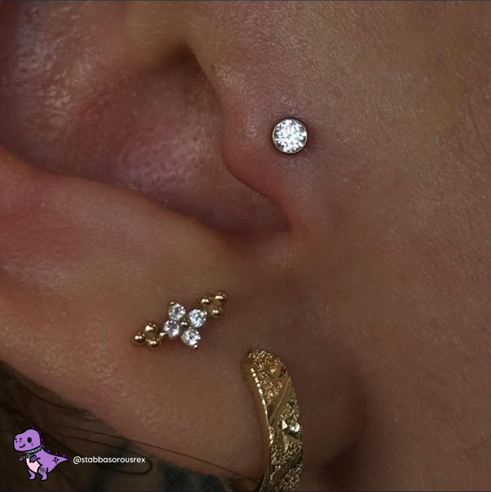 Tragus