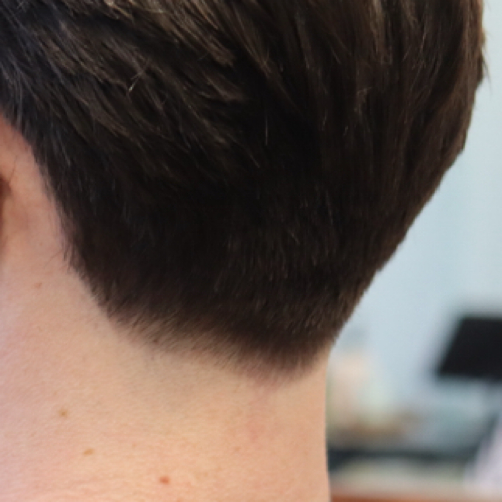 Bang/Neck Trim Over 6 Weeks at Mint Cuts + Color in Madison, WI