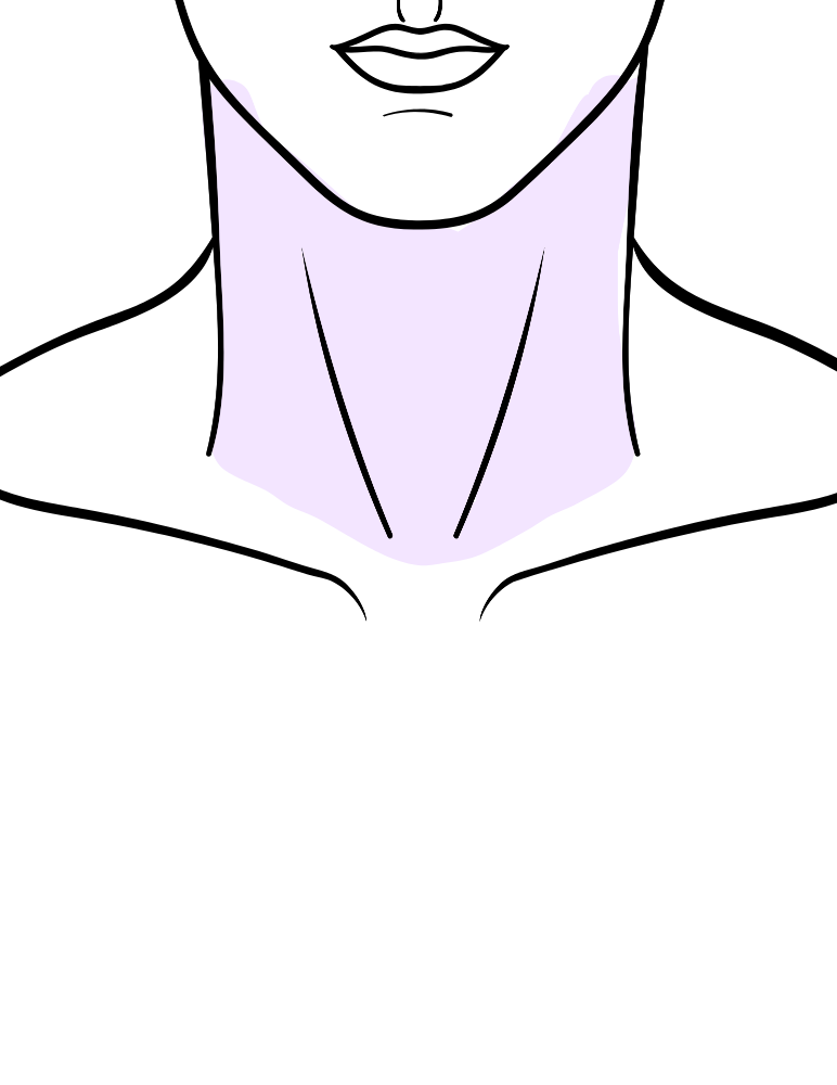 Neck