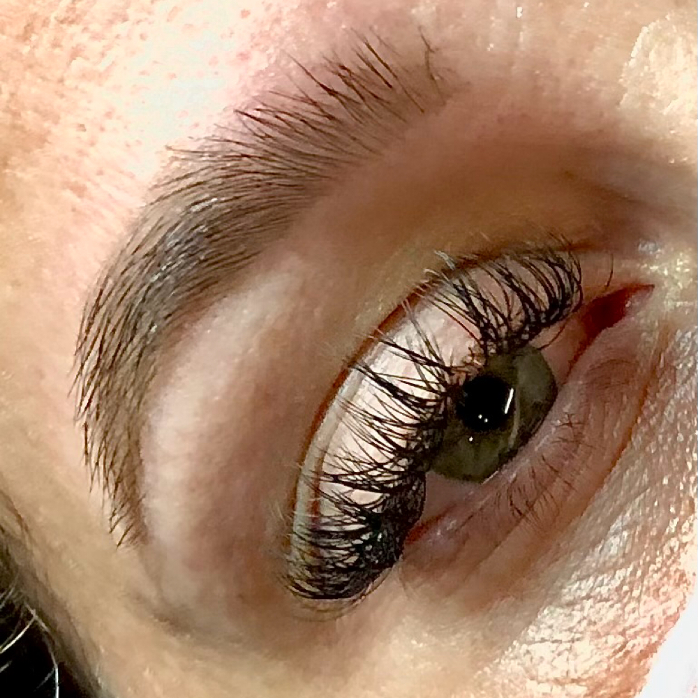 Brow Wax And Tint at Carrington Beauty Studio in Charlotte, NC