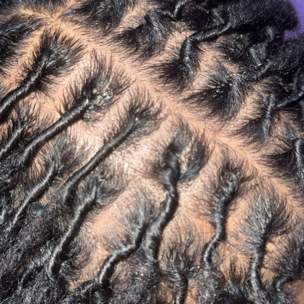 Loc Retwist at 4reign Beauty © in Mequon, WI