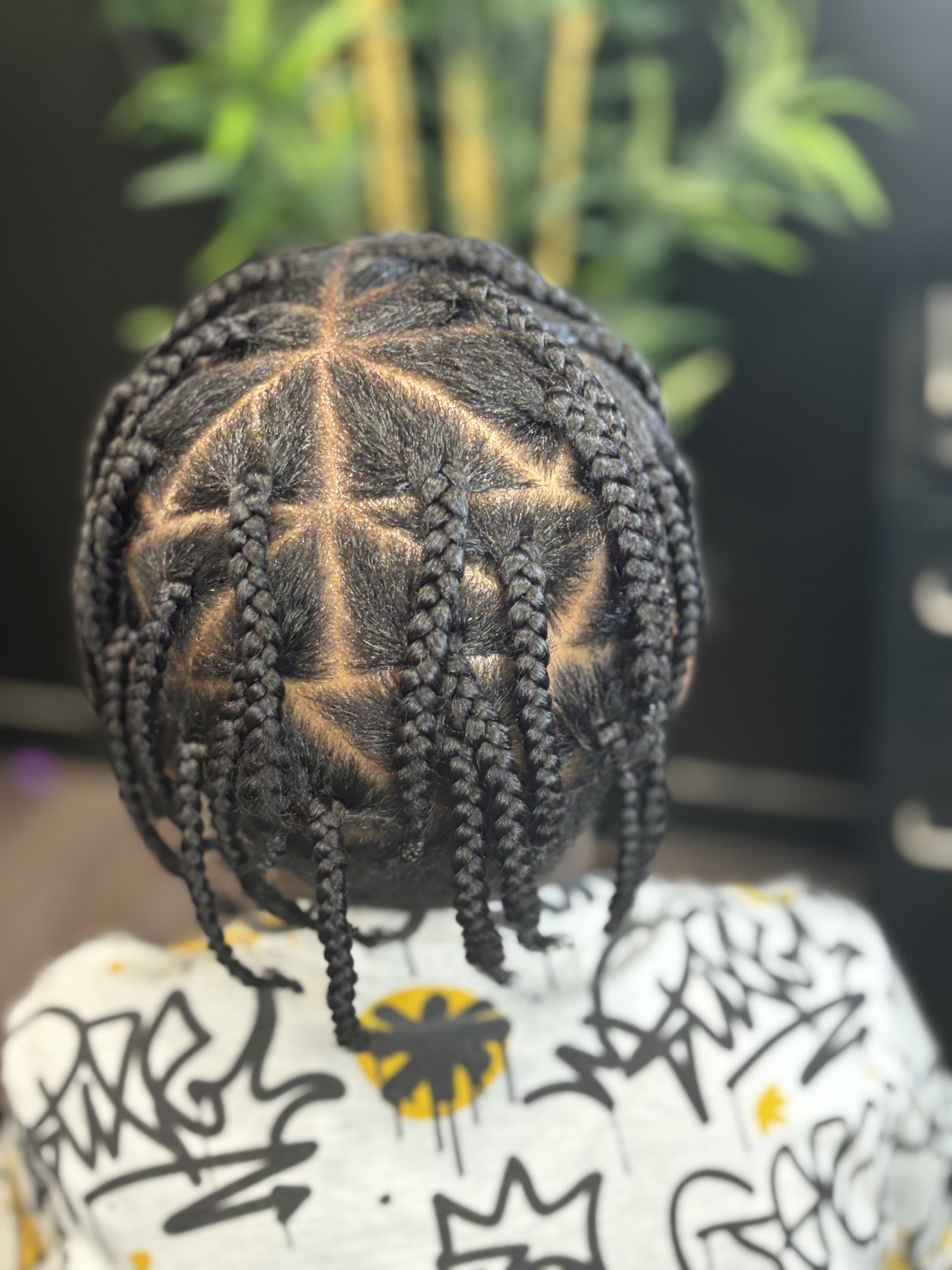 Individual braids (natural hair)