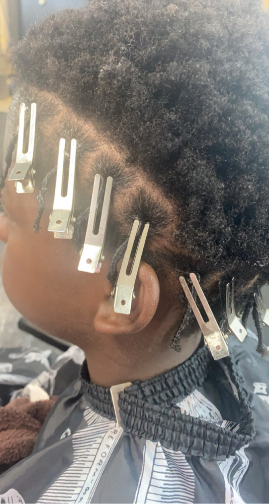 Starter Locs