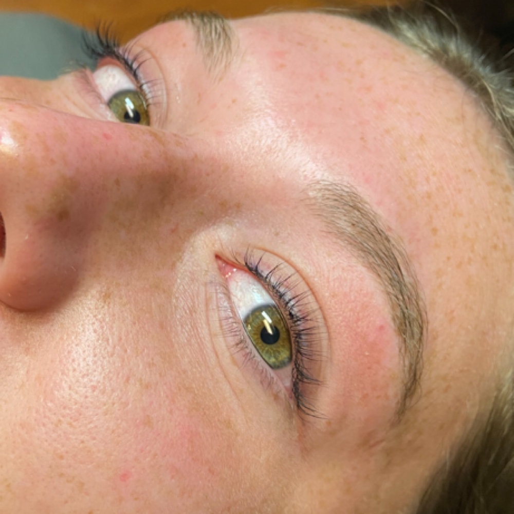 Lash Tint Revival at Elevated Esthetics in Fenton, MI
