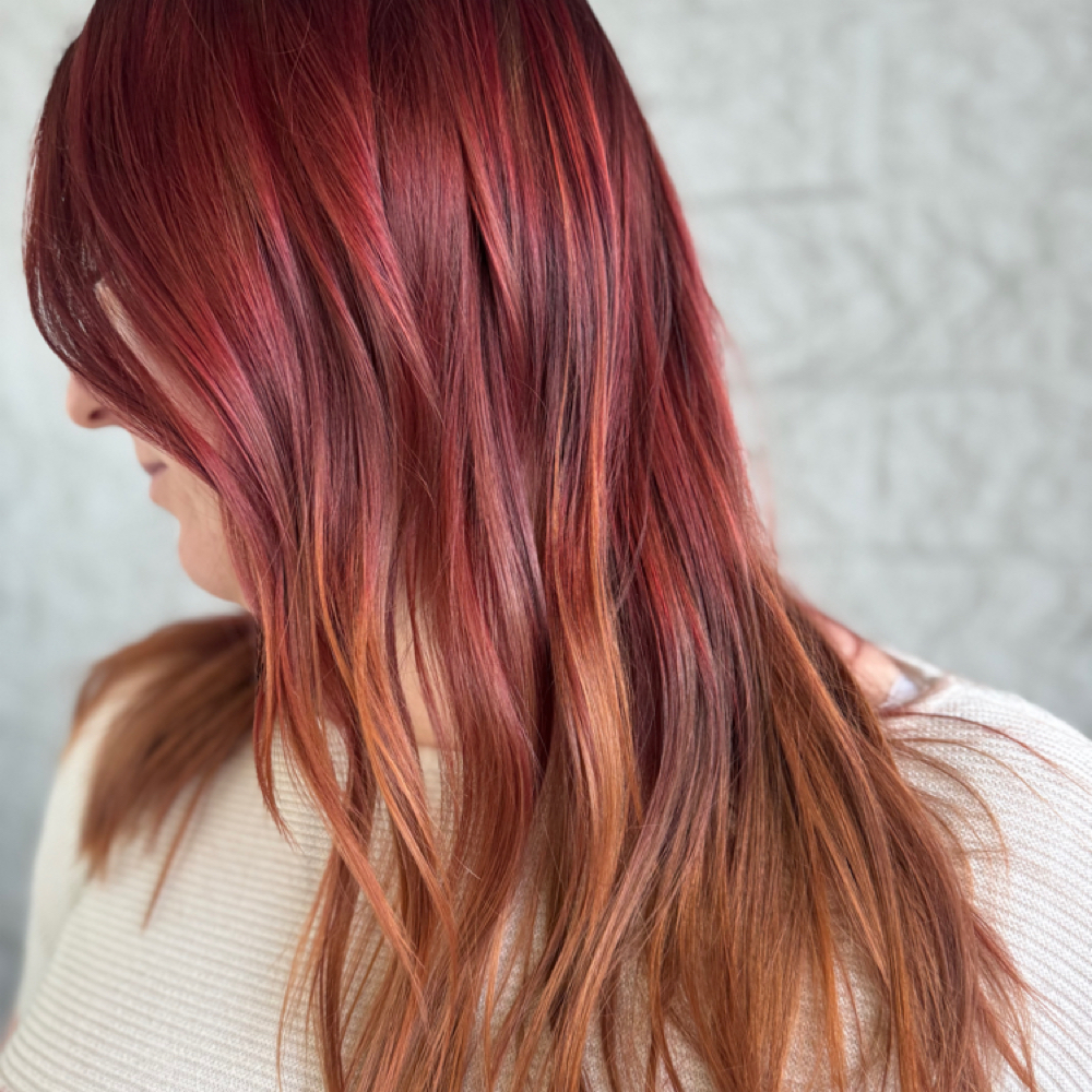 Full Color at Greenhaus Hair Studio in Campbell, CA