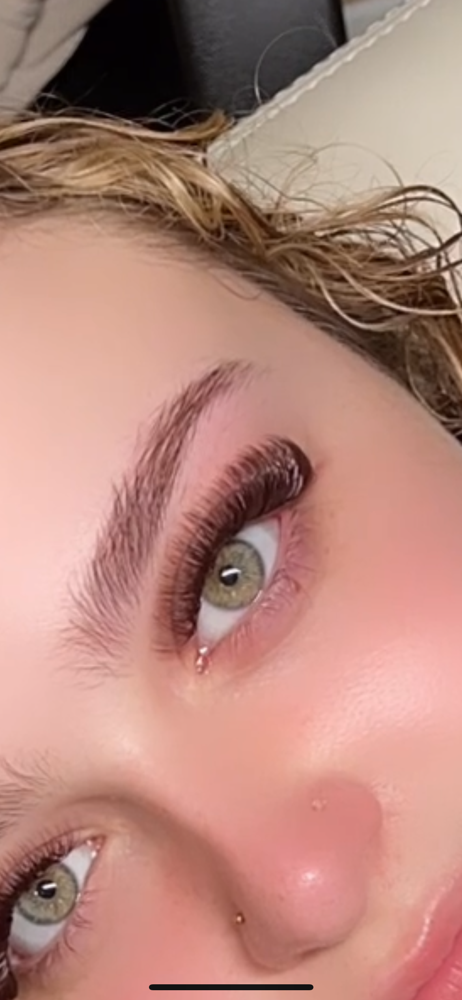 Brown Set Volume