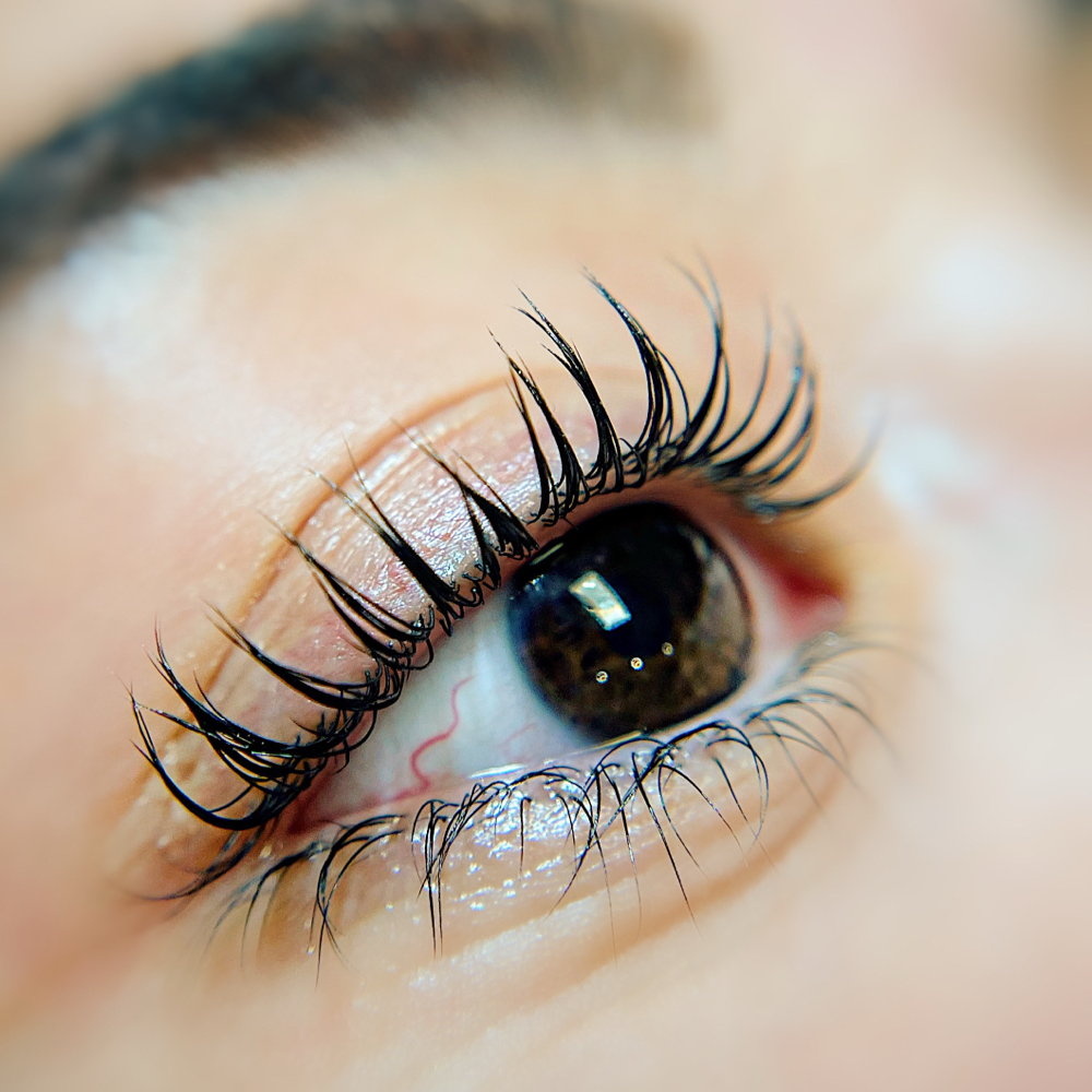 Korean Lash Lift + Tint