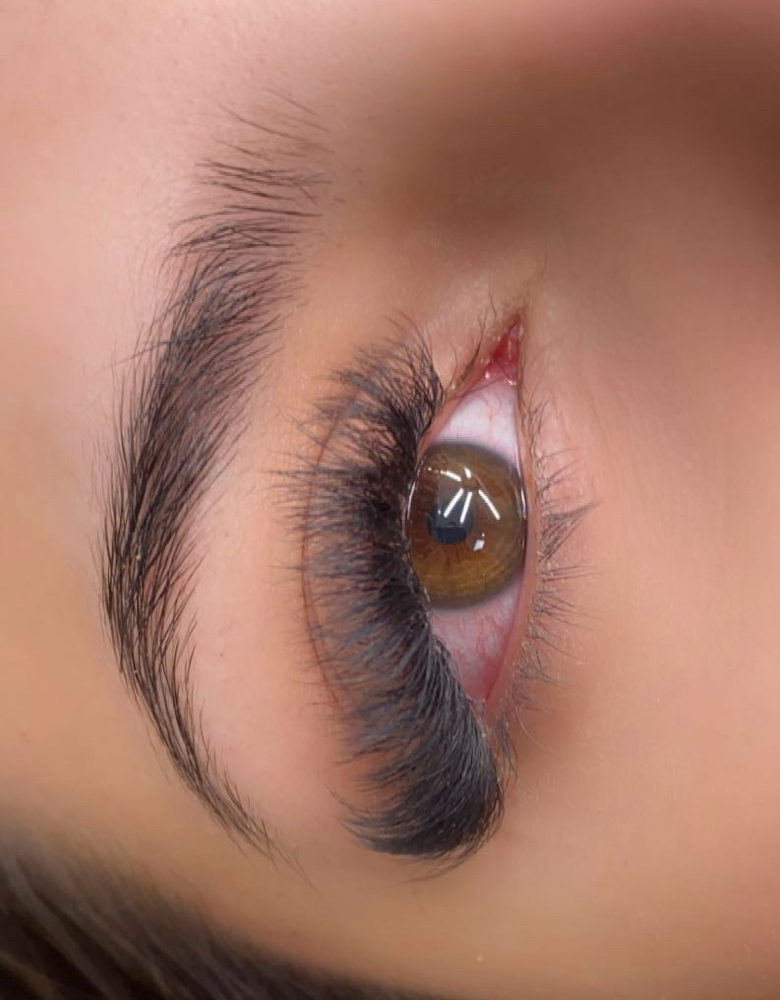 Volume Lash Set