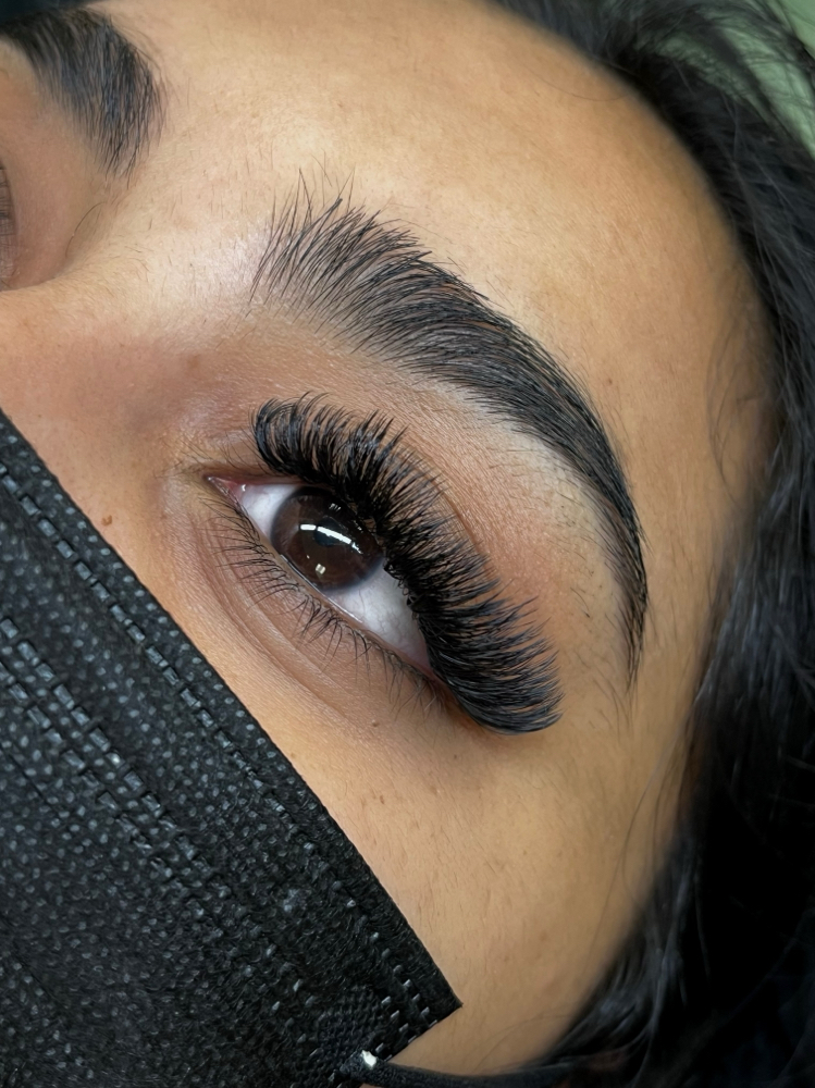 Mega Volume Lashes