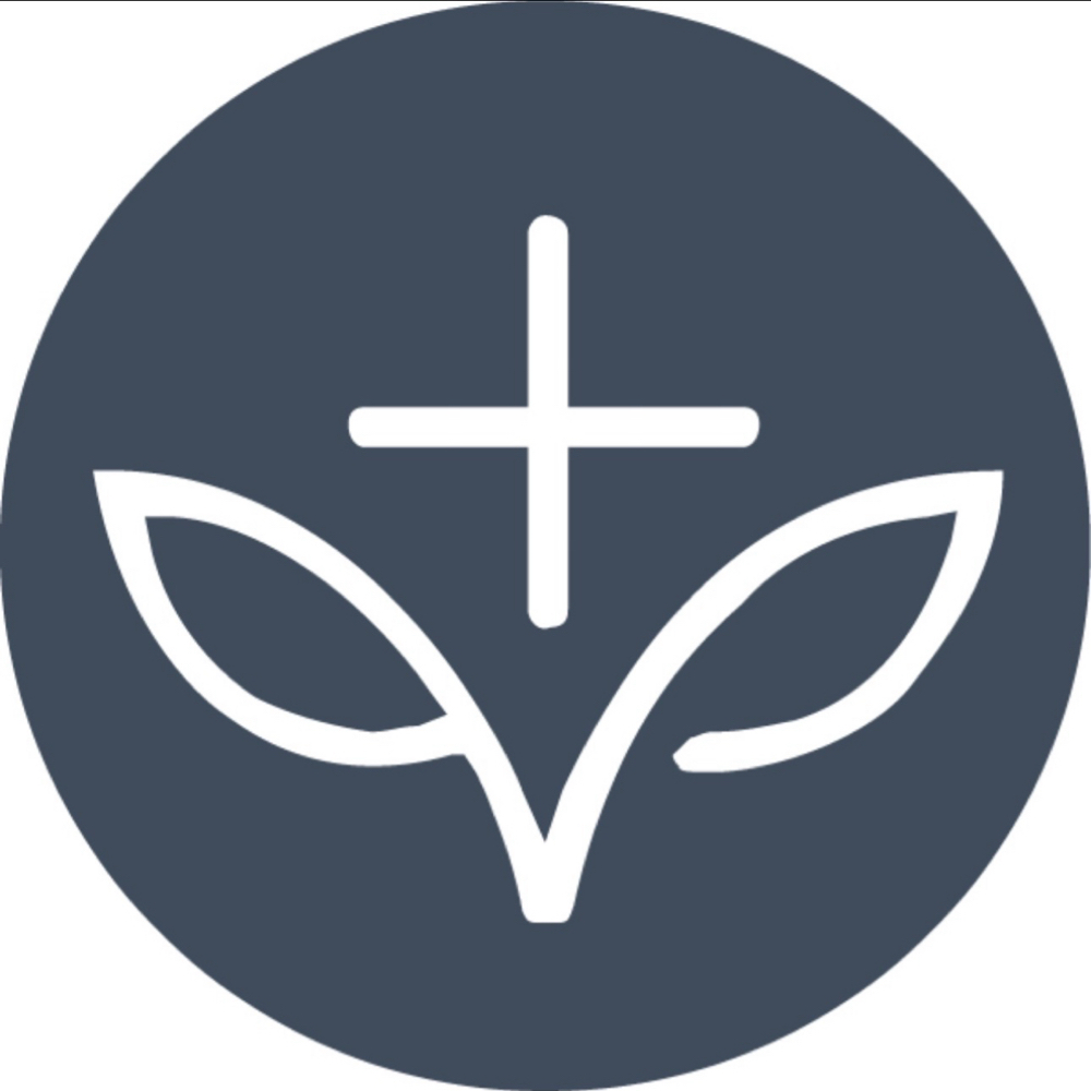 L&F PRO 3-in-1 MENDOR Treatment at Hair By Kayla Newbold in Eugene, OR