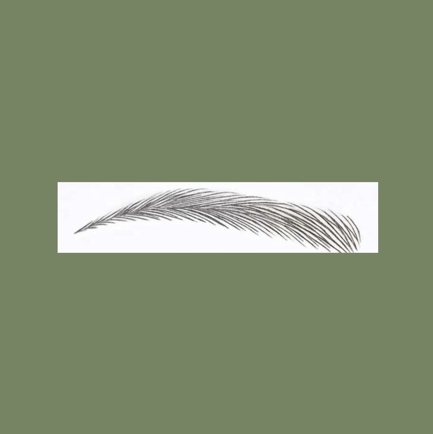 Microblading Service