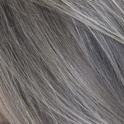 Silver Highlights