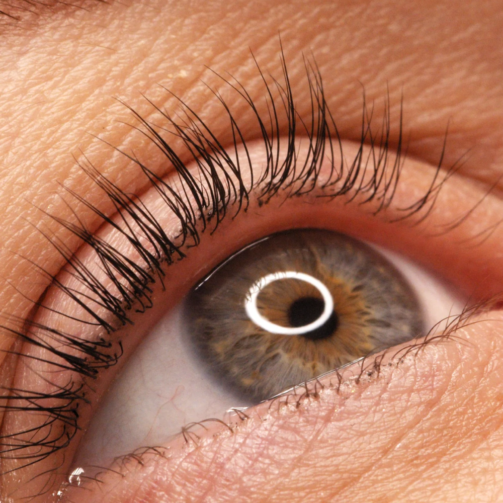 May Lash Lift & Tint