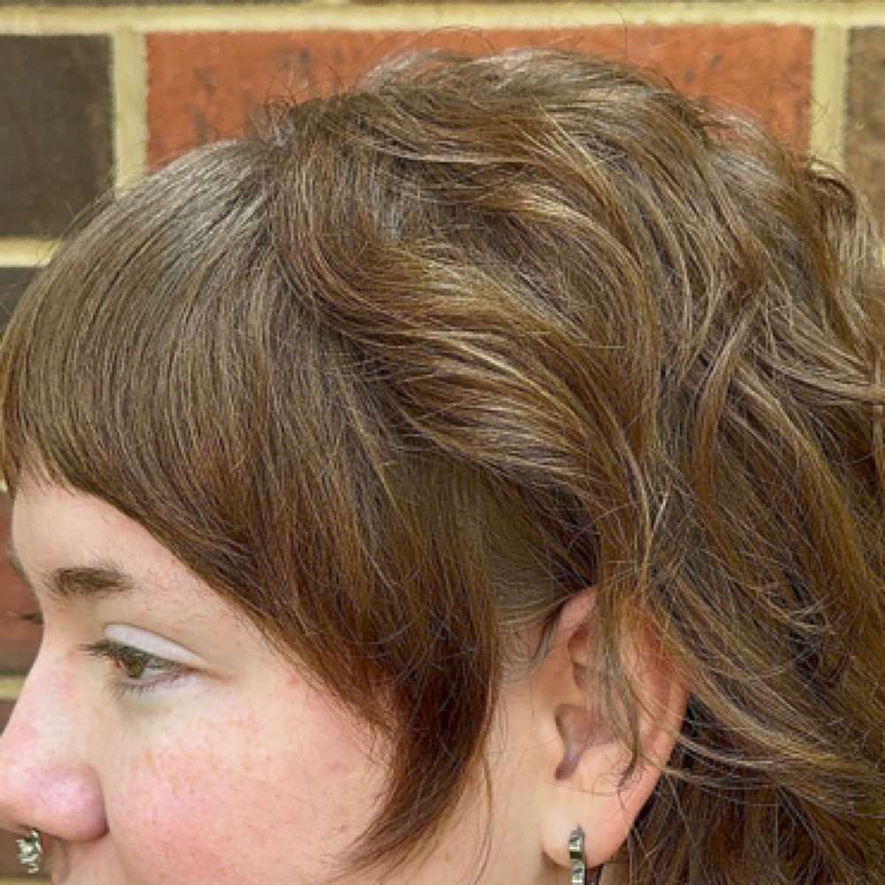 *DRY* Maintenance Haircut at Dye By The Blade in Indianapolis, IN