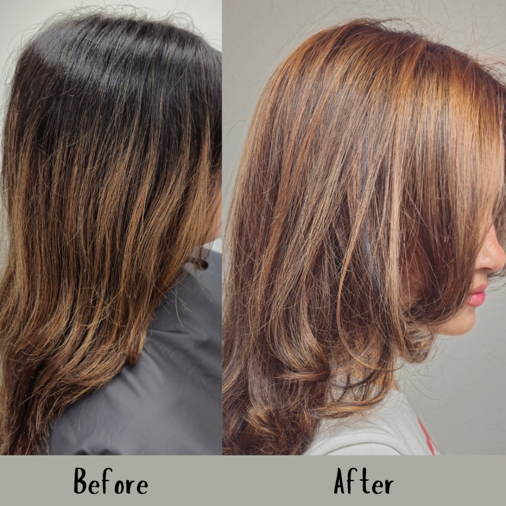 Highlights/Balyage