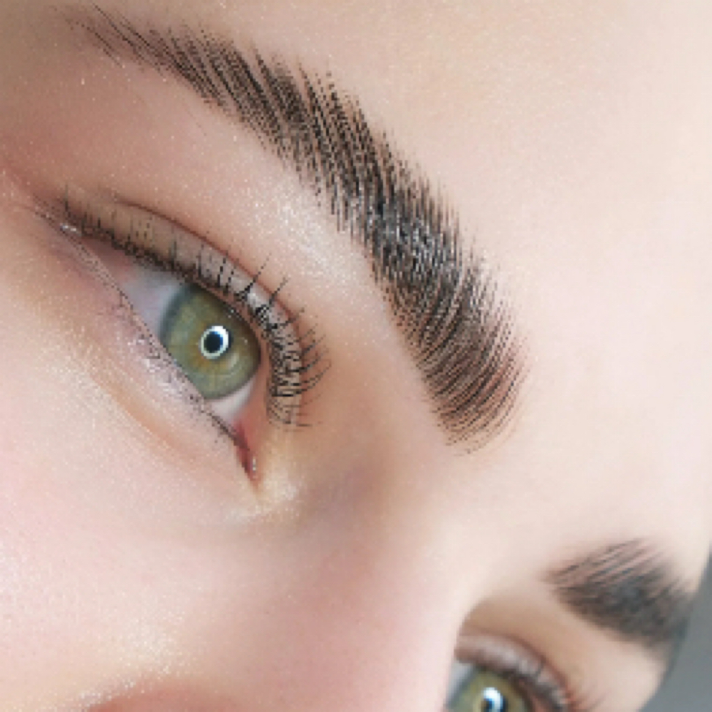 Shape/Wax/Brow Lam/Brow Tint at Sundara Skincare in Burlington, VT