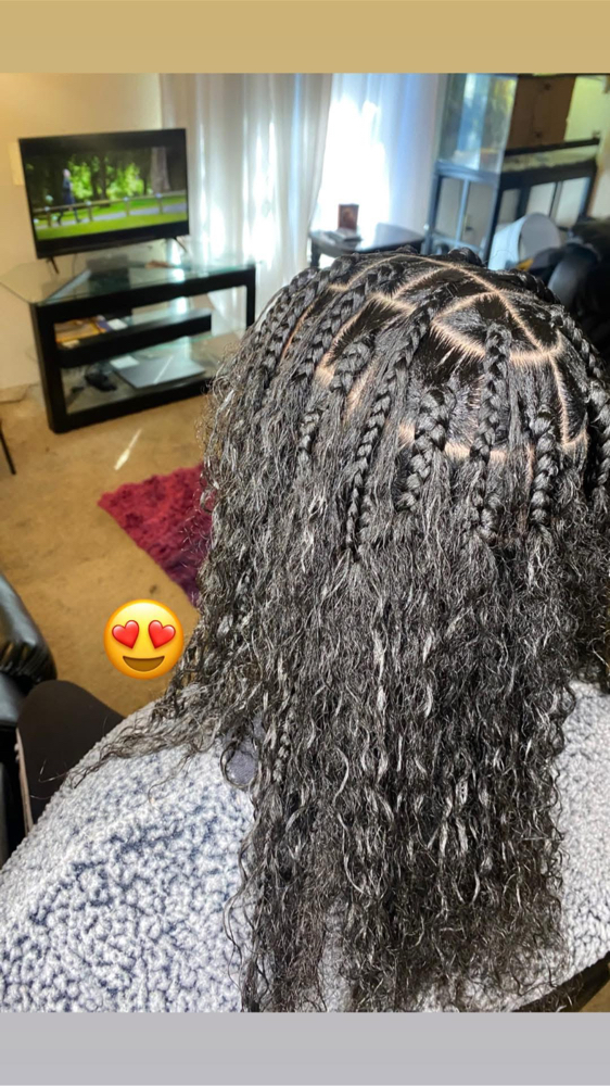 Natural Braided Styles