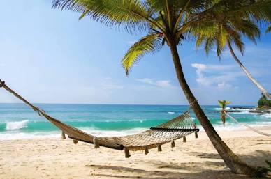 Instant Vacation Body|Integration