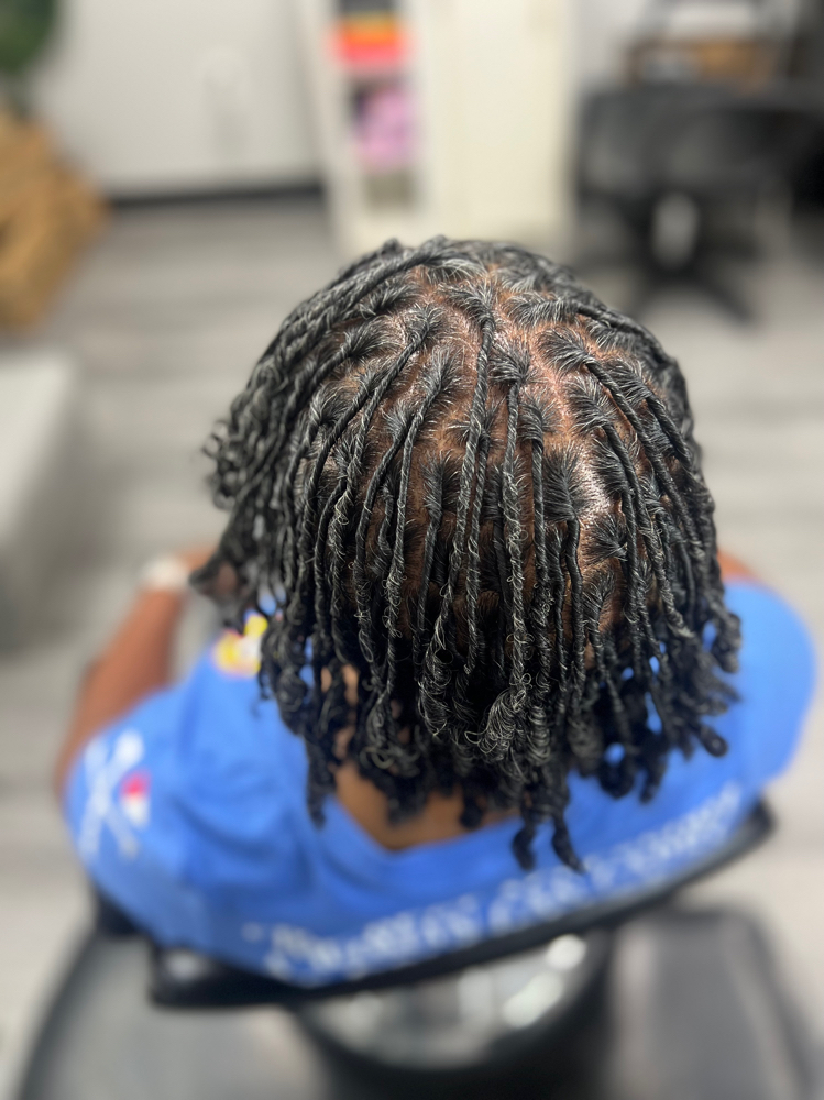 Small Size Starter Locs