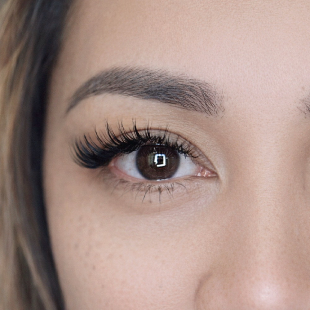 Wet/Wispy Fill at Lashmor Studio in Anaheim, CA