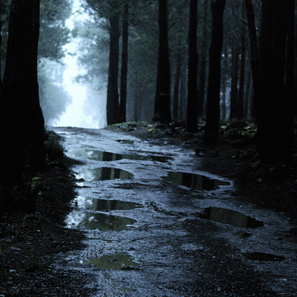 Avocado + Honey Nourish Facial