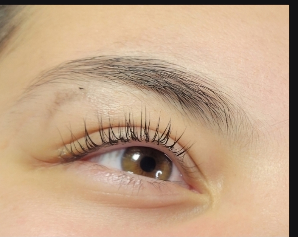 Lash Lift + Tint
