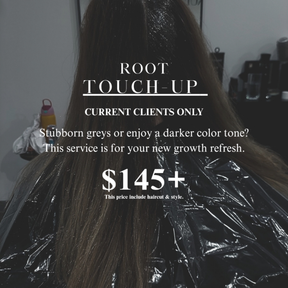 Root Touch-Up at True & Timeless Hair in Flat Rock, MI
