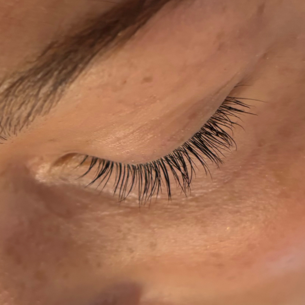 Lash Tint at Honey Whim Esthetics in Salt Lake City, UT