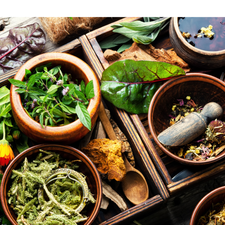 Lebowitz Protocol- Follow up