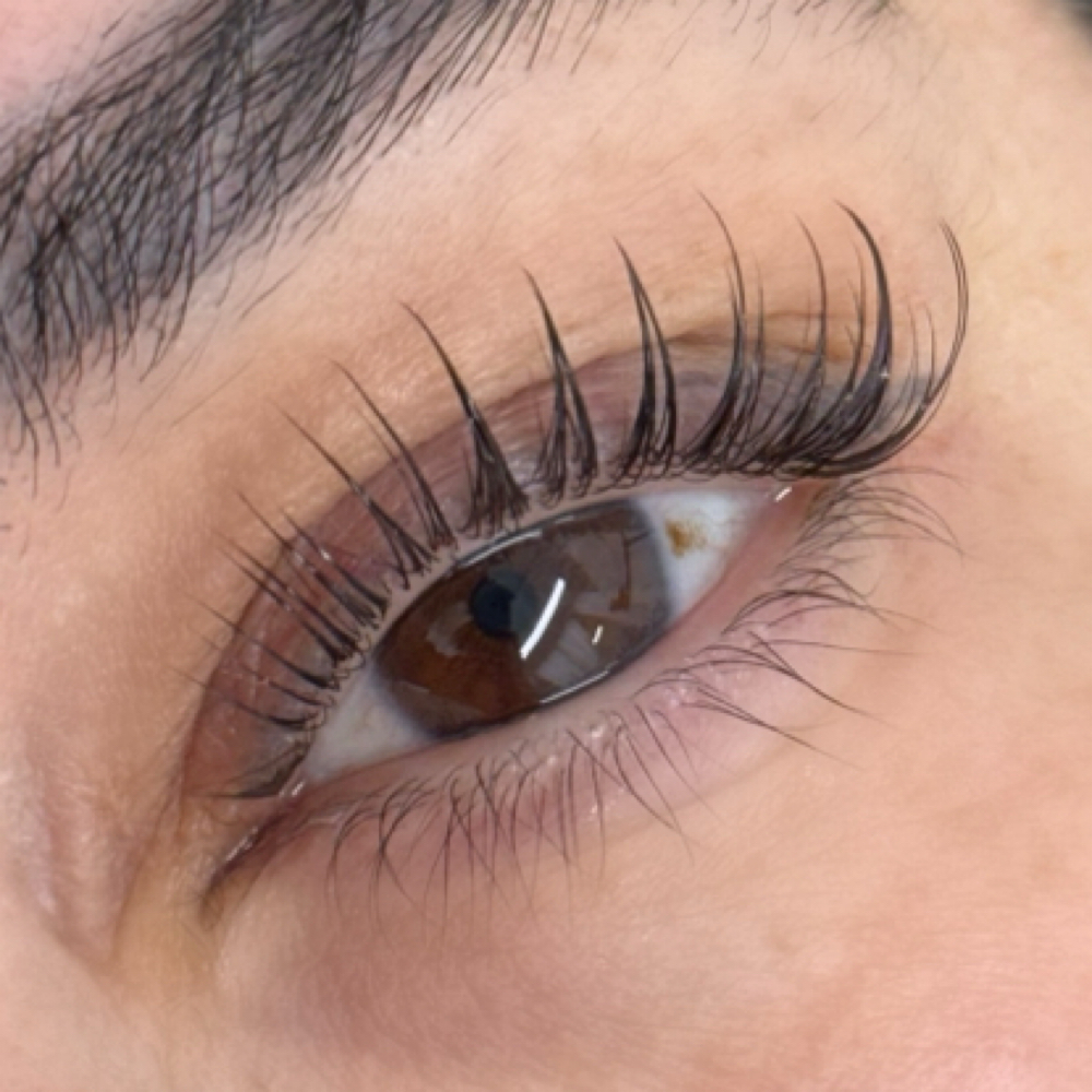 KOREAN LASH LIFT at Deesignz Lash & Brow Studio in Lagrange Park, IL