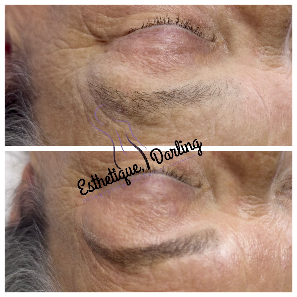 New Client Consult + Lash/Brow/wax at Esthetique, Darling LLC in Indianapolis, IN