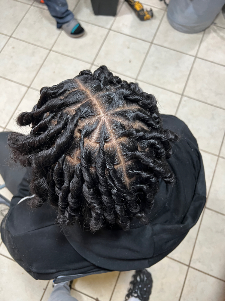 Starter Locs