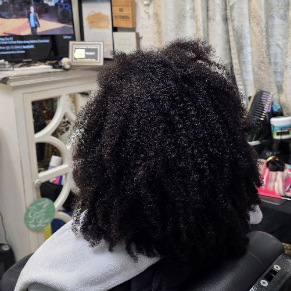 Twist-out Styling at Passionate Creations Hair Salon LLC in Cary, NC