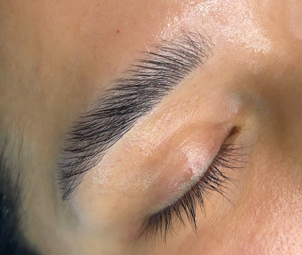 Darling Brow Lamination