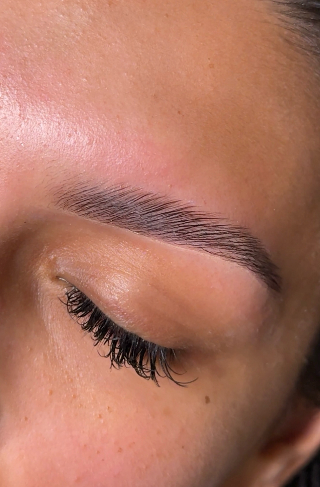 Sleek Darling Brows